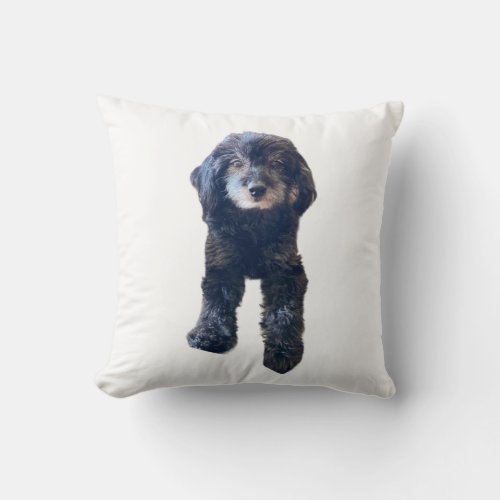 Pet Loved Beyond Words Round Pillow