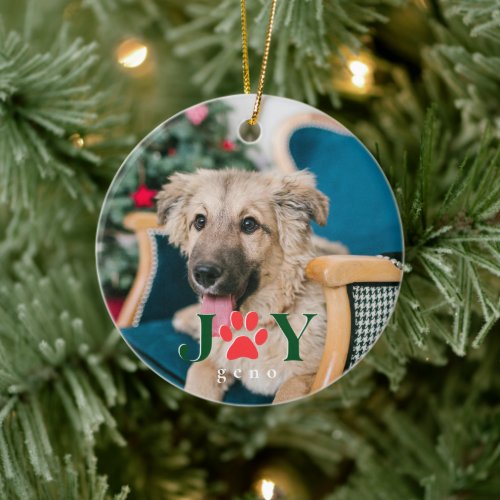 Pet Lover Dog Cat Christmas Ornament