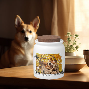 Pet Lover Photo Dog Cat Personalized Treat Candy Jar by ColorFlowCreations at Zazzle