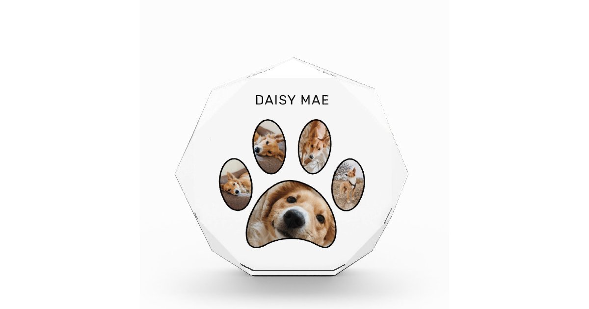 Pet Lovers Custom Paw Print Name Collage Photo Block | Zazzle