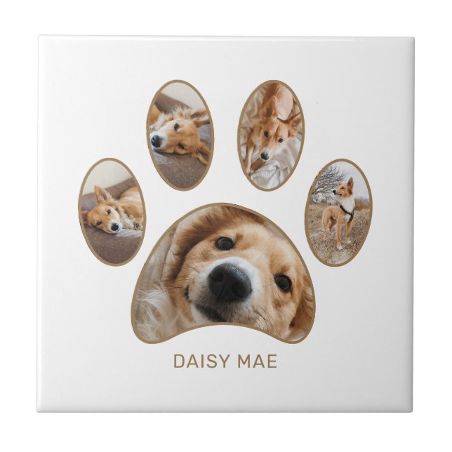 Pet Lovers Gold Paw Print Name Photo Collage Ceramic Tile (Front)
