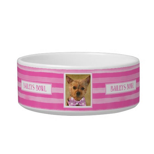 Pet Lovers Pretty in Pink Stripes Photo Name     Bowl