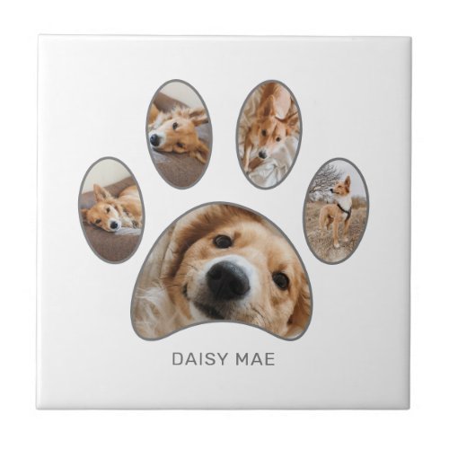 Pet Lovers Silver Paw Print Photo Collage Custom Ceramic Tile