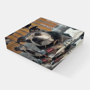 Pet Lovers Your Pet Photo + Personalized Hashtag Paperweight