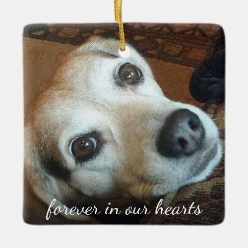 Pet Memorial 2 Photo Forever In Our Hearts Ceramic Ornament