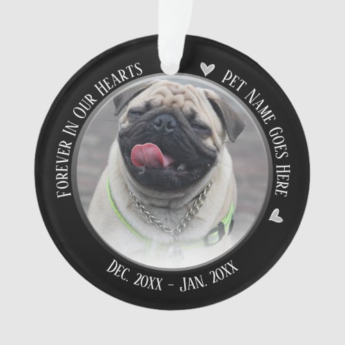 Pet Memorial 2 Photo Forever in Our Hearts Ornament