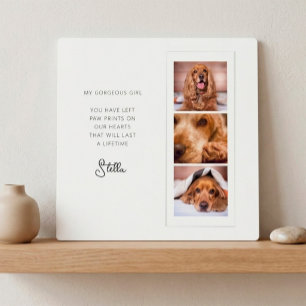 Pet Memorial 3 Photo Collage Remembrance Plaque