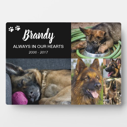 Pet Memorial | 5 Photo Remembrance Plaque - Elegant pet memorial photo plaque featuring 5 photos of your beloved animal, your pets name, dates, and a personalized quote.