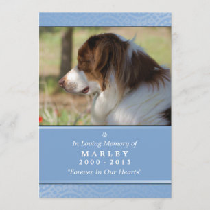 Pet Memorial 5x7 Light Blue God's Garden Poem Program