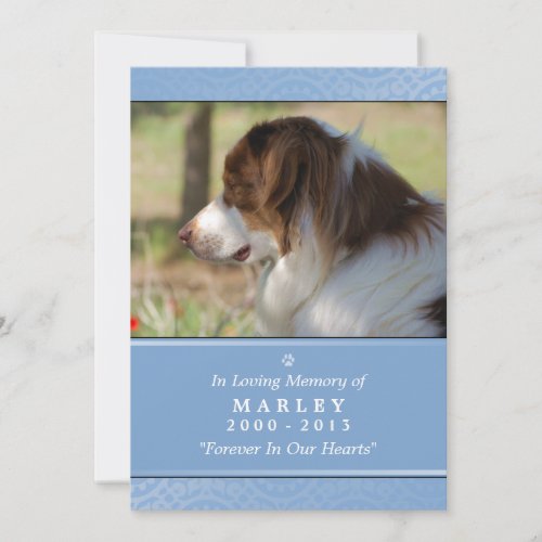 Pet Memorial 5x7 Light Blue Rainbow Bridge MALE Announcement