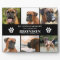 Pet Memorial 6 x Photo In Loving Memory