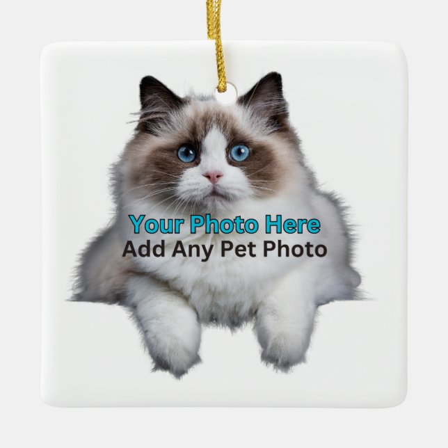 Pet Memorial/ Add Photo and Personalize Ceramic Ornament (Front)