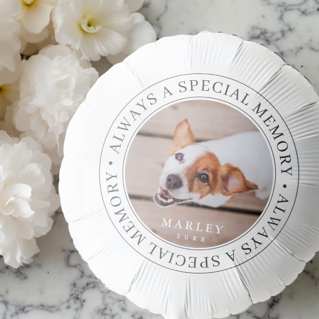 Pet Memorial Always a Special Memory Modern Photo Balloon (Creator Uploaded)