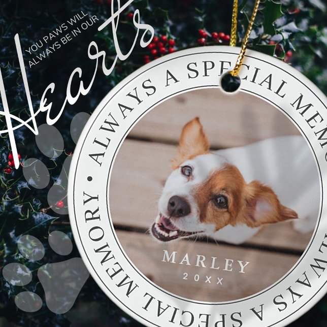 Pet Memorial Always a Special Memory Modern Photo Ceramic Ornament (Creator Uploaded)