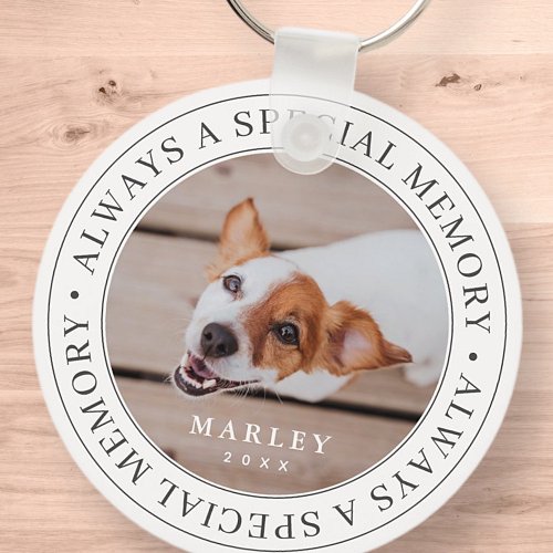 Pet Memorial Always a Special Memory Modern Photo Keychain