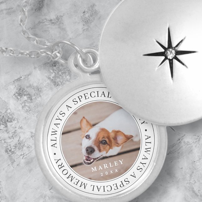 Pet Memorial Always a Special Memory Modern Photo Locket Necklace (Creator Uploaded)