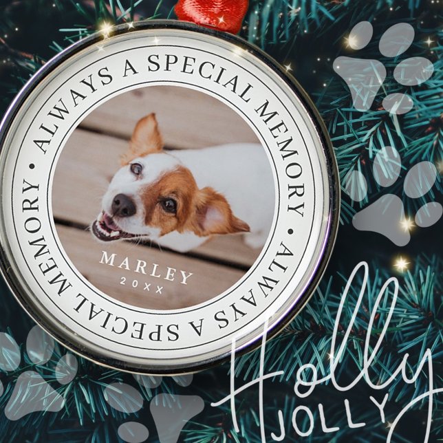 Pet Memorial Always a Special Memory Modern Photo Metal Ornament (Creator Uploaded)