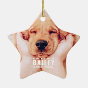 Pet Memorial Always and Forever Modern Photo Ceramic Ornament