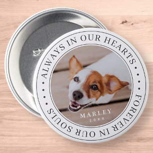 Pet Memorial Always In Our Hearts Modern Photo Button