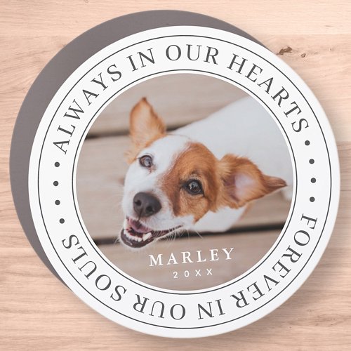 Pet Memorial Always In Our Hearts Modern Photo Car Magnet