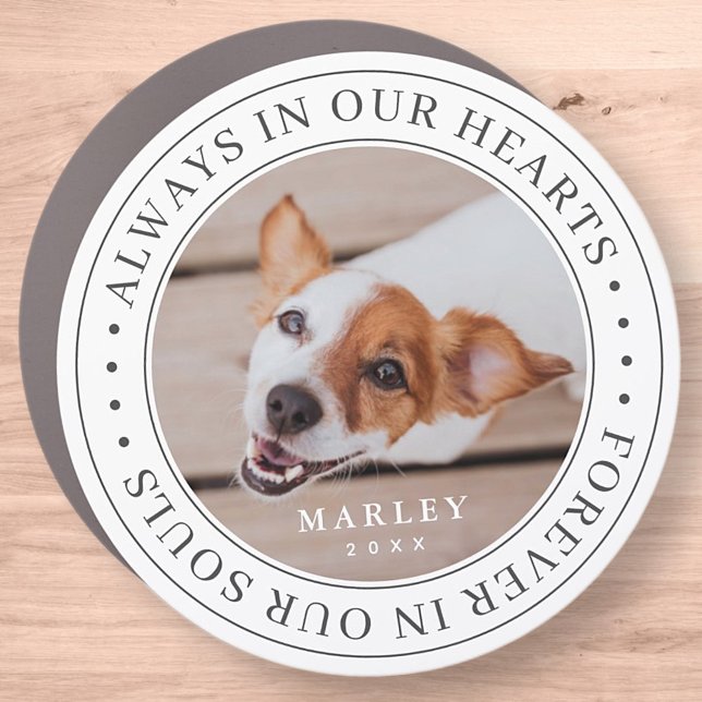 Pet Memorial Always In Our Hearts Modern Photo Car Magnet (Creator Uploaded)