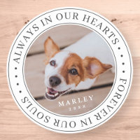 Pet Memorial Always In Our Hearts Modern Photo
