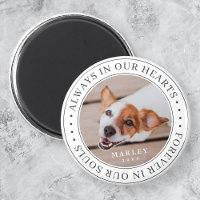 Pet Memorial Always In Our Hearts Modern Photo