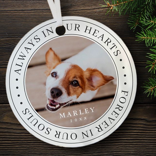 Pet Memorial Always In Our Hearts Modern Photo Metal Ornament (Creator Uploaded)