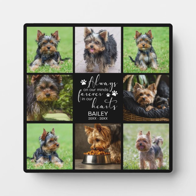 Pet Memorial Always on Minds Photo Plaque (Front)