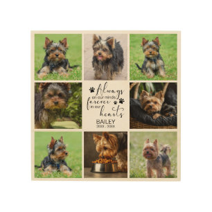 Pet Memorial Always on Minds Photo Wood Wall Art