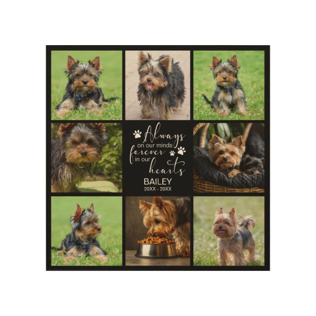 Pet Memorial Always on Minds Photo Wood Wall Art (Front)
