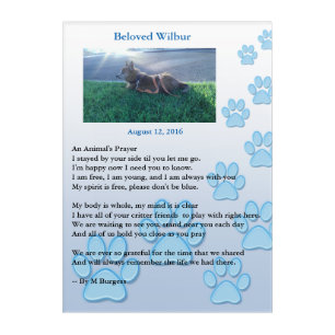 Pet Memorial - An Animal's Prayer - Acrylic Print