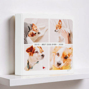 Pet Memorial Best Dog Ever Modern Photo Collage 3 Ring Binder