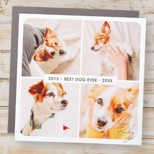 Pet Memorial Best Dog Ever Modern Photo Collage Car Magnet