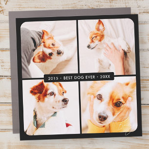 Pet Memorial Best Dog Ever Modern Photo Collage Car Magnet