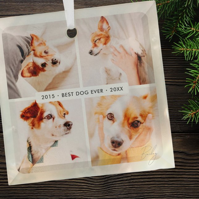 Pet Memorial Best Dog Ever Modern Photo Collage Glass Ornament (Creator Uploaded)