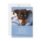 Pet Memorial Card 3.5 x 5 Blue - Don't Grieve Poem