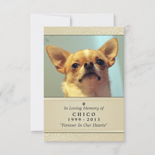 Pet Memorial Card 3.5" x 5" - Creme Modern Photo (Front)