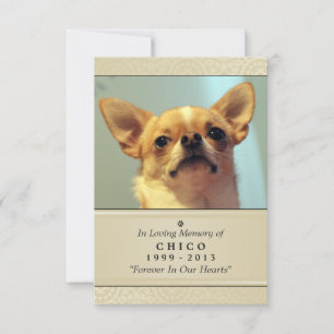 Pet Memorial Card 3.5" x 5" - Creme Modern Photo
