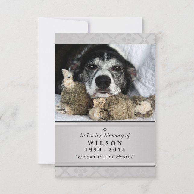 Pet Memorial Card 3.5" x 5" - Gray Modern Photo (Front)