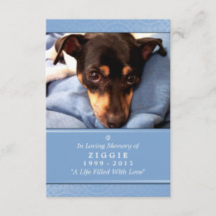 Pet Memorial Card 3.5" x 5" - Light Blue Photo