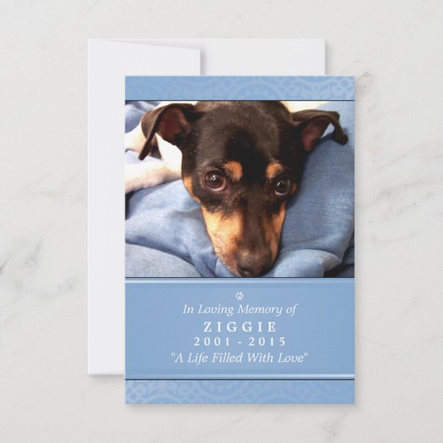 Pet Memorial Card 3.5" x 5" - Light Blue Photo (Front)