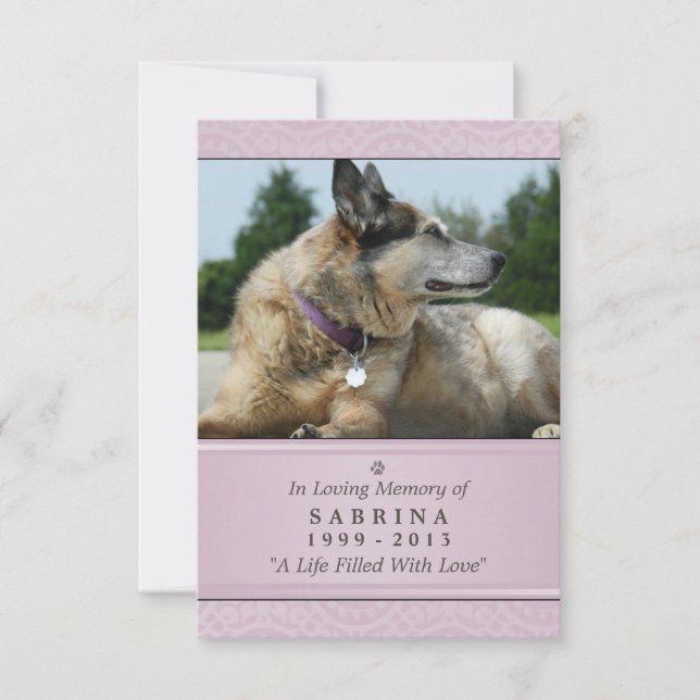 Pet Memorial Card 3.5" x 5" - Pink Modern Photo (Front)