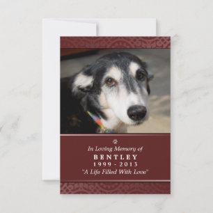Pet Memorial Card 3.5" x 5" - Red - God's Garden