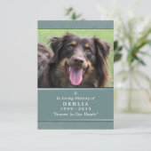 Pet Memorial Card 3.5x5 Teal - Contented Poem (Standing Front)