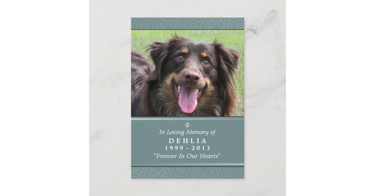 Pet Memorial Card 3 5x5 Teal God S Garden Poem Zazzle Com