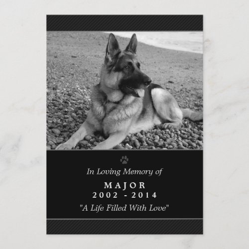 Pet Memorial Card 5x7 Black Modern _ Male Pet