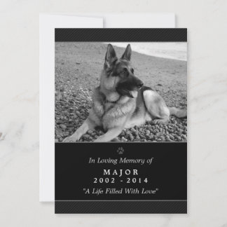 Pet Memorial Card 5"x7" Black Modern - Male Pet