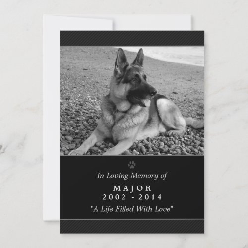 Pet Memorial Card 5x7 Black Modern _ Male Pet