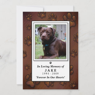 Pet Memorial Card 5"x7" - Chocolate Brown Photo